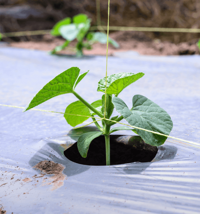 High-Performance Ropes for Agricultural Applications
