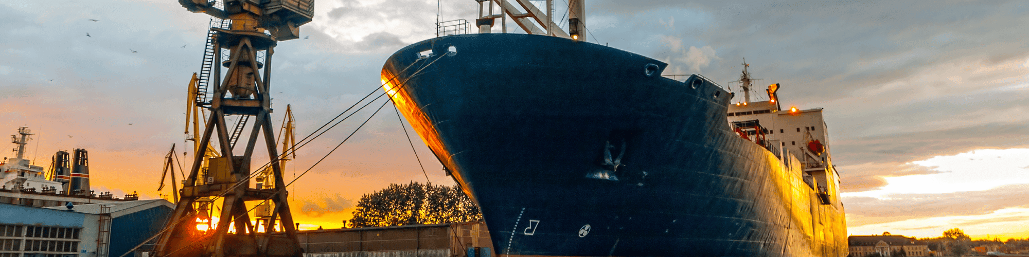 Commercial Marine Ropes