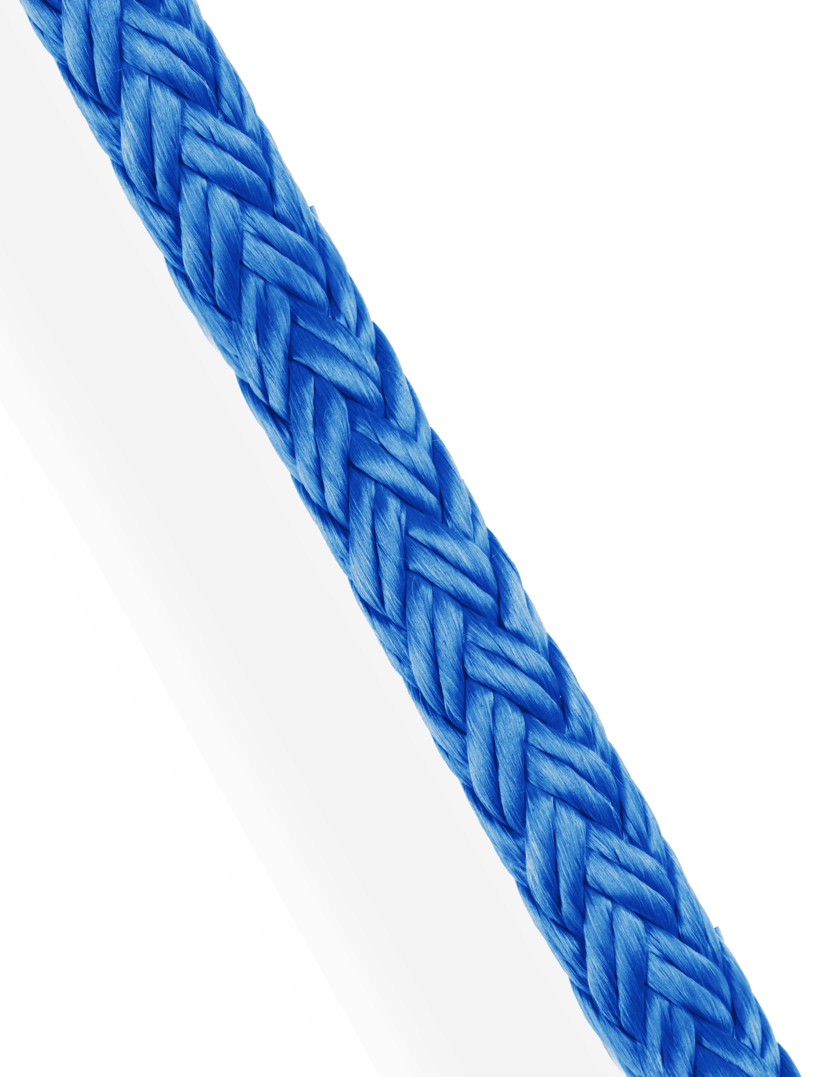 RIG-TEX 12
