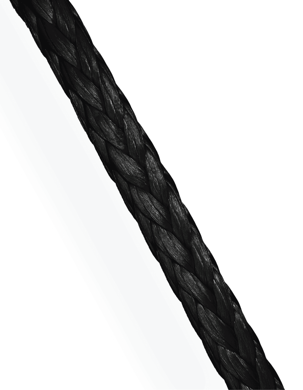 Insect Screen Cord