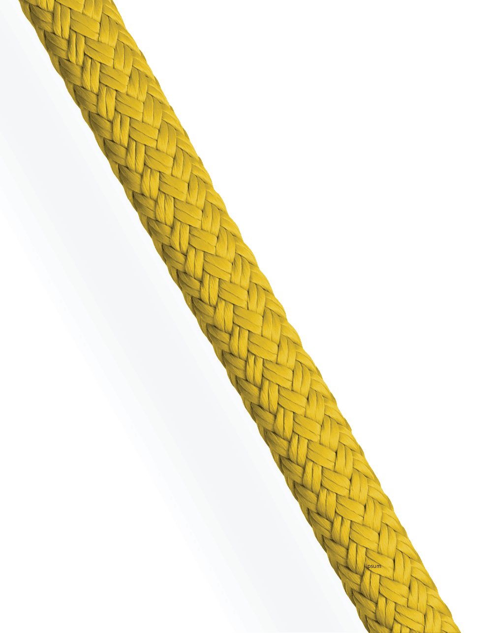 Rig-Tex 24