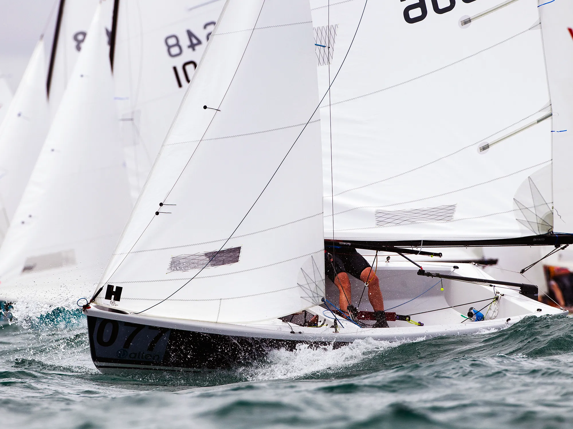 Fleet of Wayfarer dinghies racing in close competition in choppy conditions with multiple sails visible
